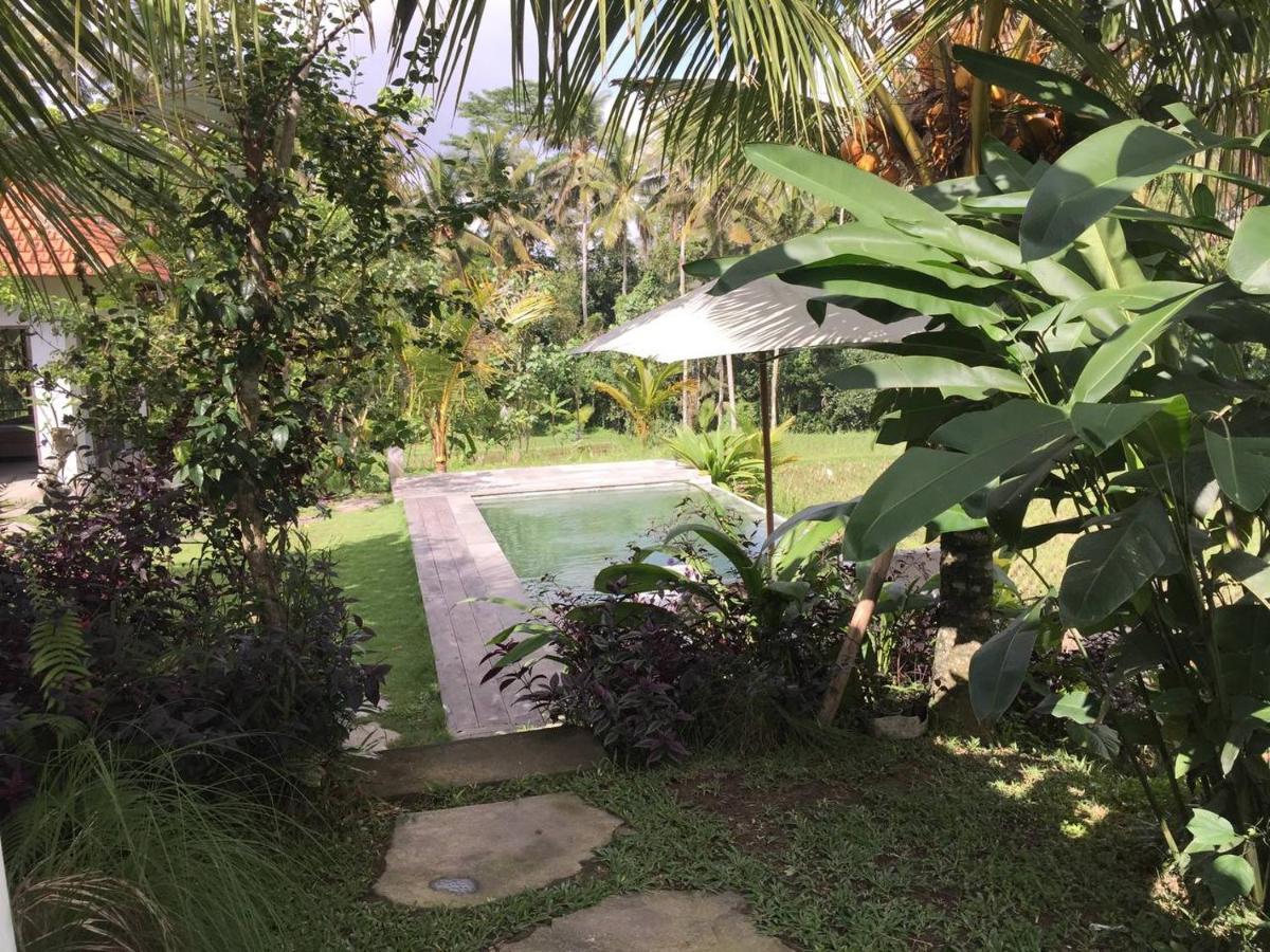 Uma Mupu Retreat Villa Gianyar  Luaran gambar