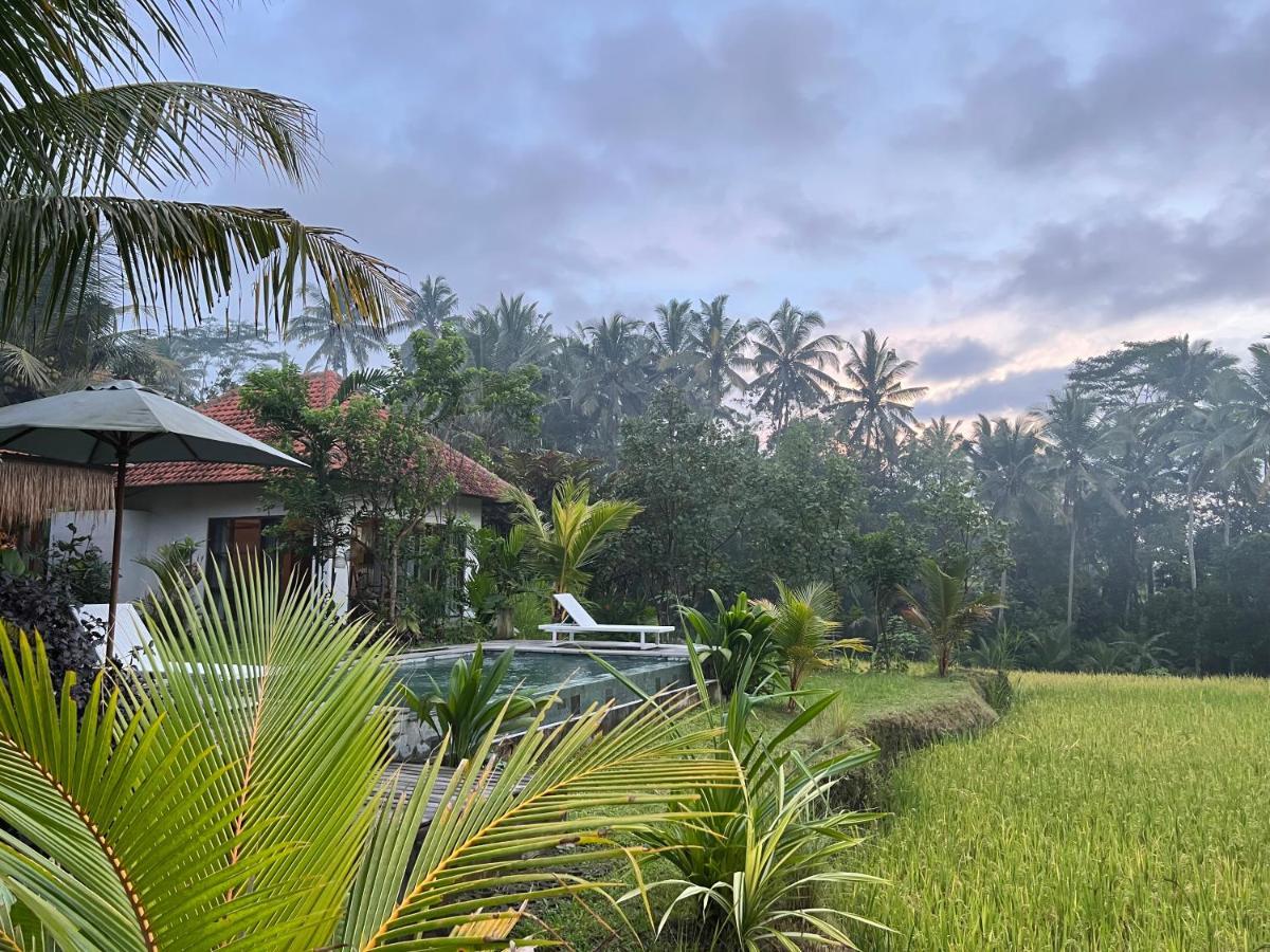 Uma Mupu Retreat Villa Gianyar  Luaran gambar