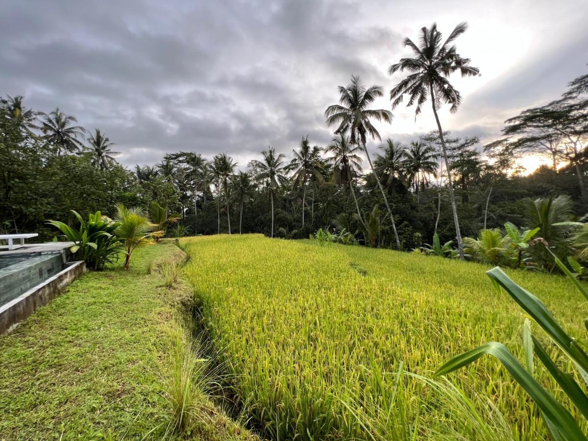 Uma Mupu Retreat Villa Gianyar  Luaran gambar