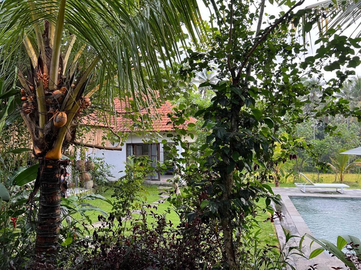 Uma Mupu Retreat Villa Gianyar  Luaran gambar