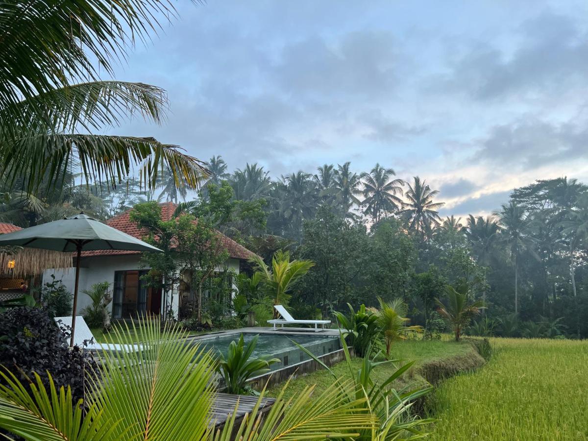 Uma Mupu Retreat Villa Gianyar  Luaran gambar