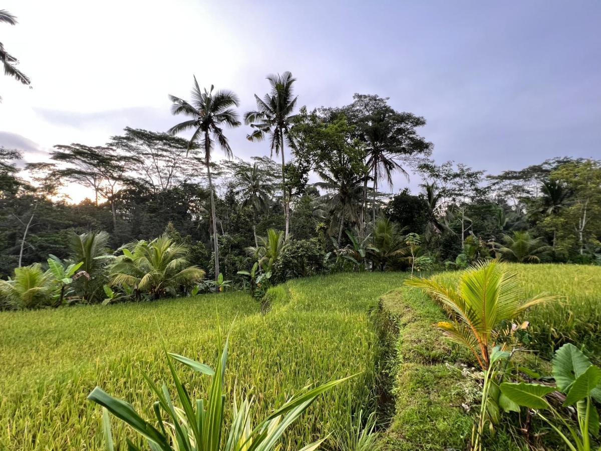 Uma Mupu Retreat Villa Gianyar  Luaran gambar