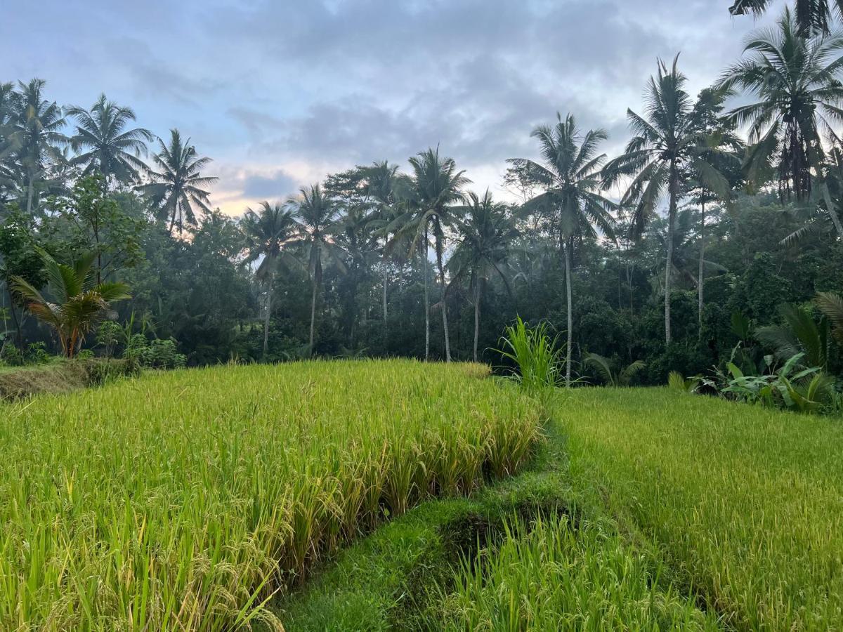 Uma Mupu Retreat Villa Gianyar  Luaran gambar