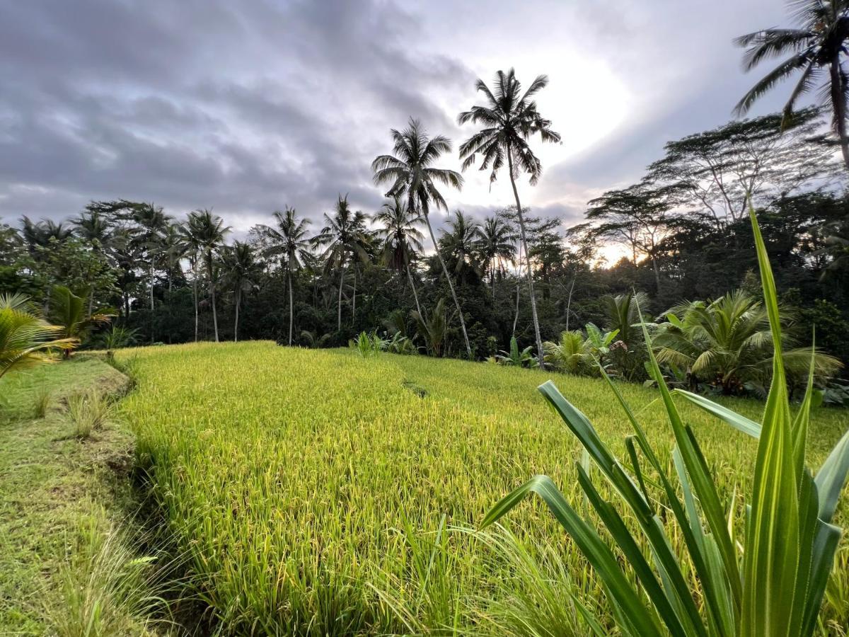 Uma Mupu Retreat Villa Gianyar  Luaran gambar