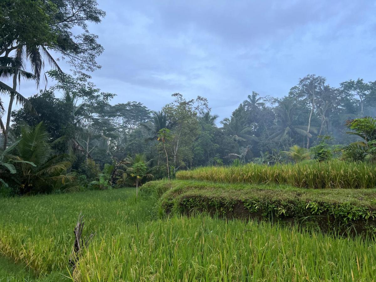 Uma Mupu Retreat Villa Gianyar  Luaran gambar